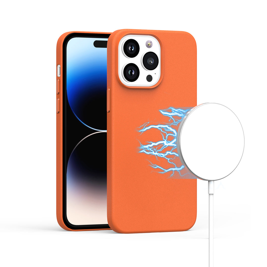 For iPhone 15 Pro Max Case Hidden Magnet Circle PU Leather + 2 Screen Protectors